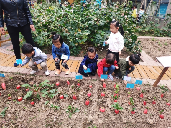 IMG_20191016_152157.jpg