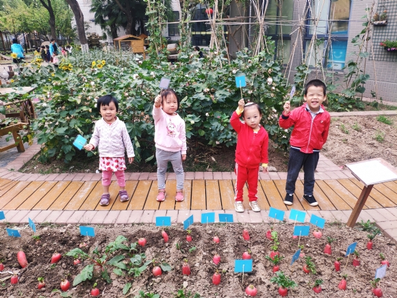IMG_20191016_152755.jpg