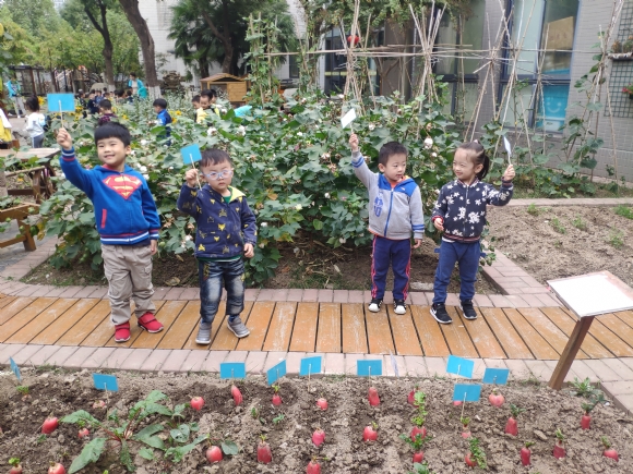IMG_20191016_152336.jpg