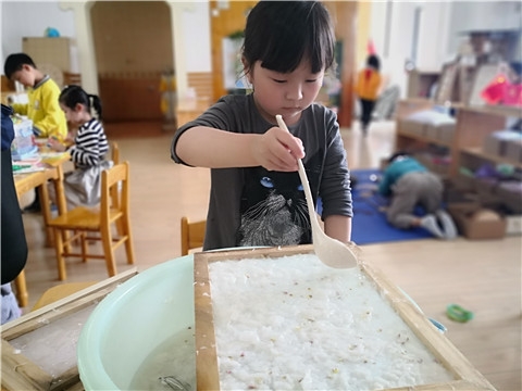 IMG_20191017_105424.jpg