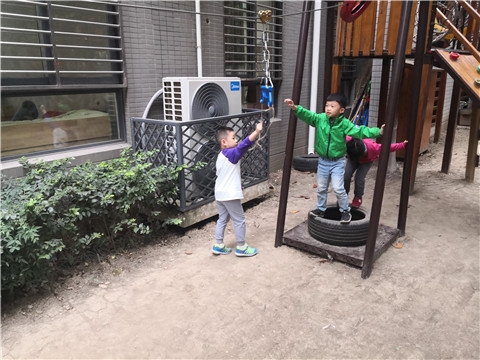 IMG_20191016_154906.jpg