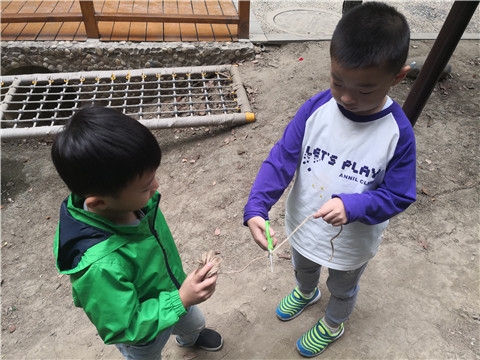 IMG_20191016_154818.jpg