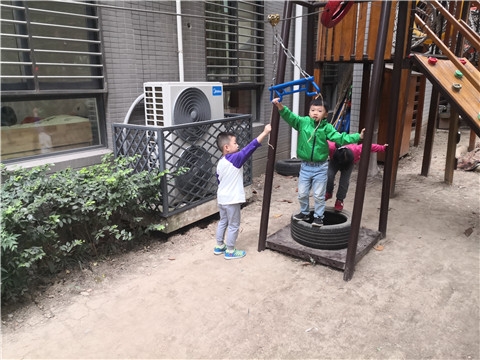 IMG_20191016_154907.jpg