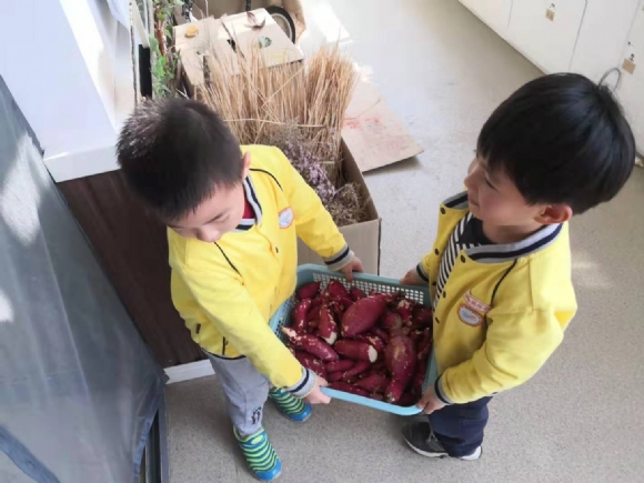 微信图片_201911151629003.jpg