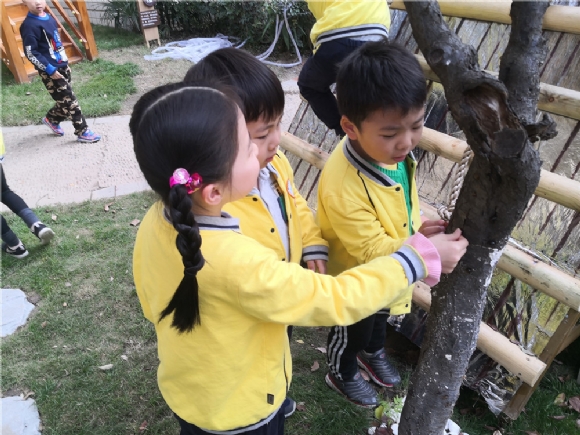 IMG_20191111_145801.jpg