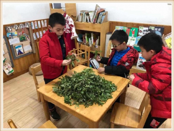 图片3.jpg
