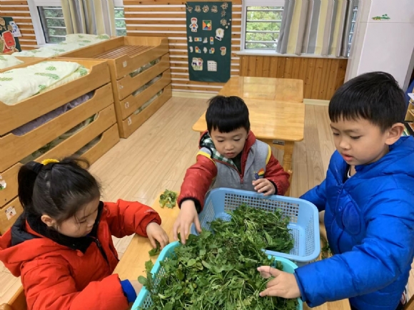 微信图片_202001091621295.jpg