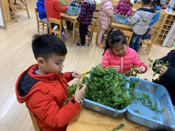 微信图片_202001091621292.jpg