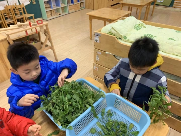 微信图片_20200109162129.jpg