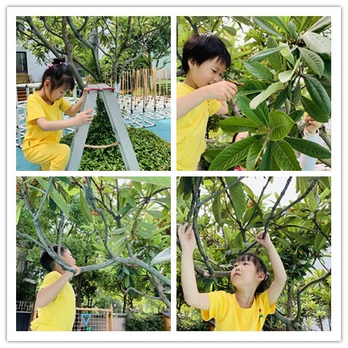 IMG_2641(20200608-140551)_副本.jpg