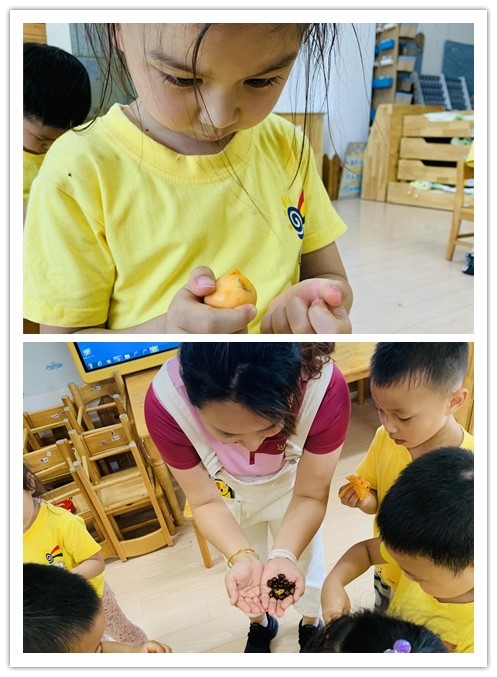 IMG_2703(20200608-140551)_副本.jpg