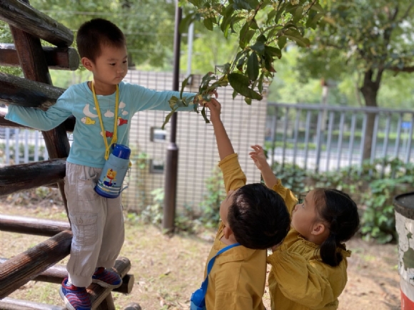 72c4c96219cb150f267d2abb7d4d92a - .jpg