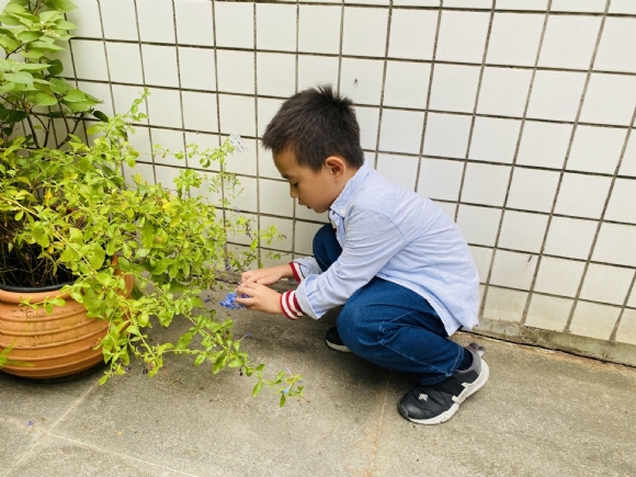 QQͼƬ20201015085420.jpg