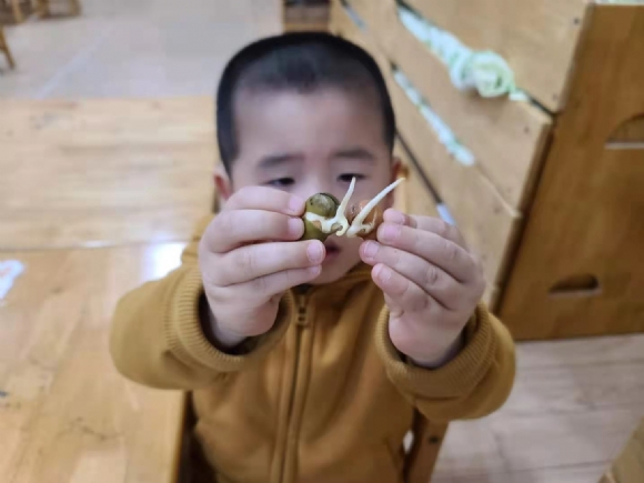 微信图片_202103161600154.jpg