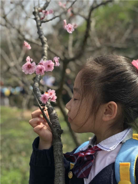 ������20180323132999761598.jpg