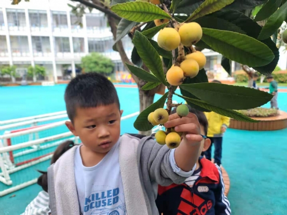 微信图片_202106011113444.jpg
