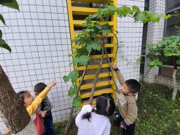 微信图片_202106011113445.jpg