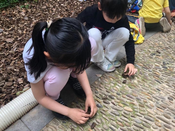 微信图片_202106031418071.jpg