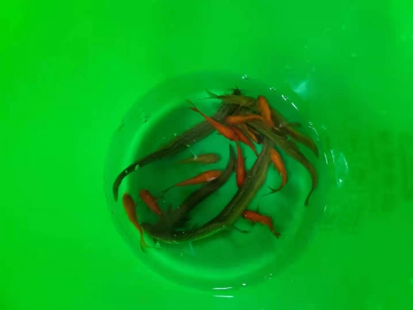 微信图片_20210621182044.jpg