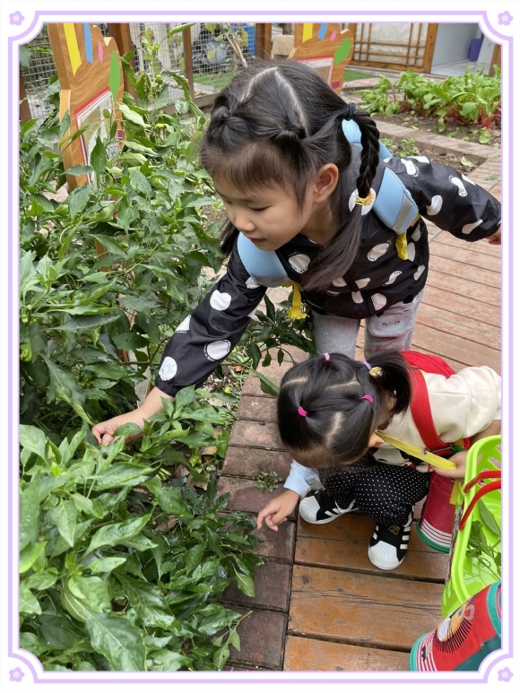 QQͼƬ20211018131753.jpg