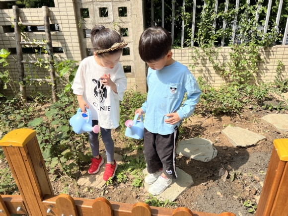 9d61ffa8-6dd4-42db-a6d1-67991ec66b45.jpg