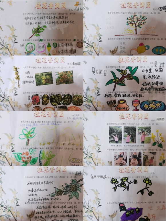Collage_20221027_084040.jpg