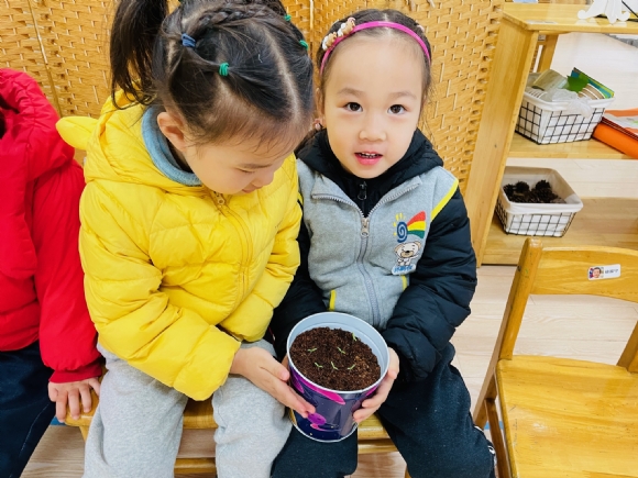 a1ddb337-8c8e-40f6-b51e-6a6a567be5b6.jpg