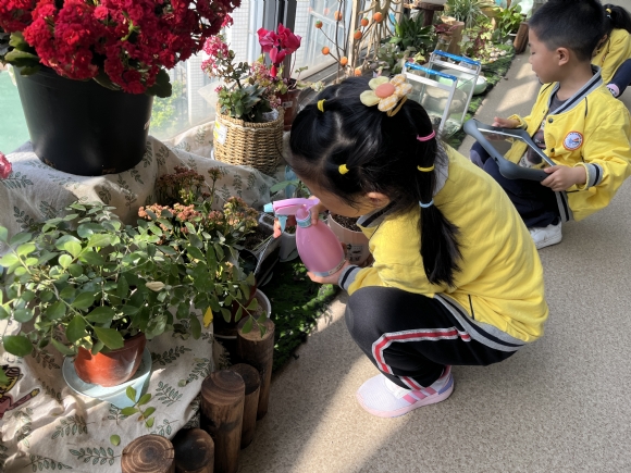 dc0c29d5-982f-4022-ae09-b095635acb93.jpg